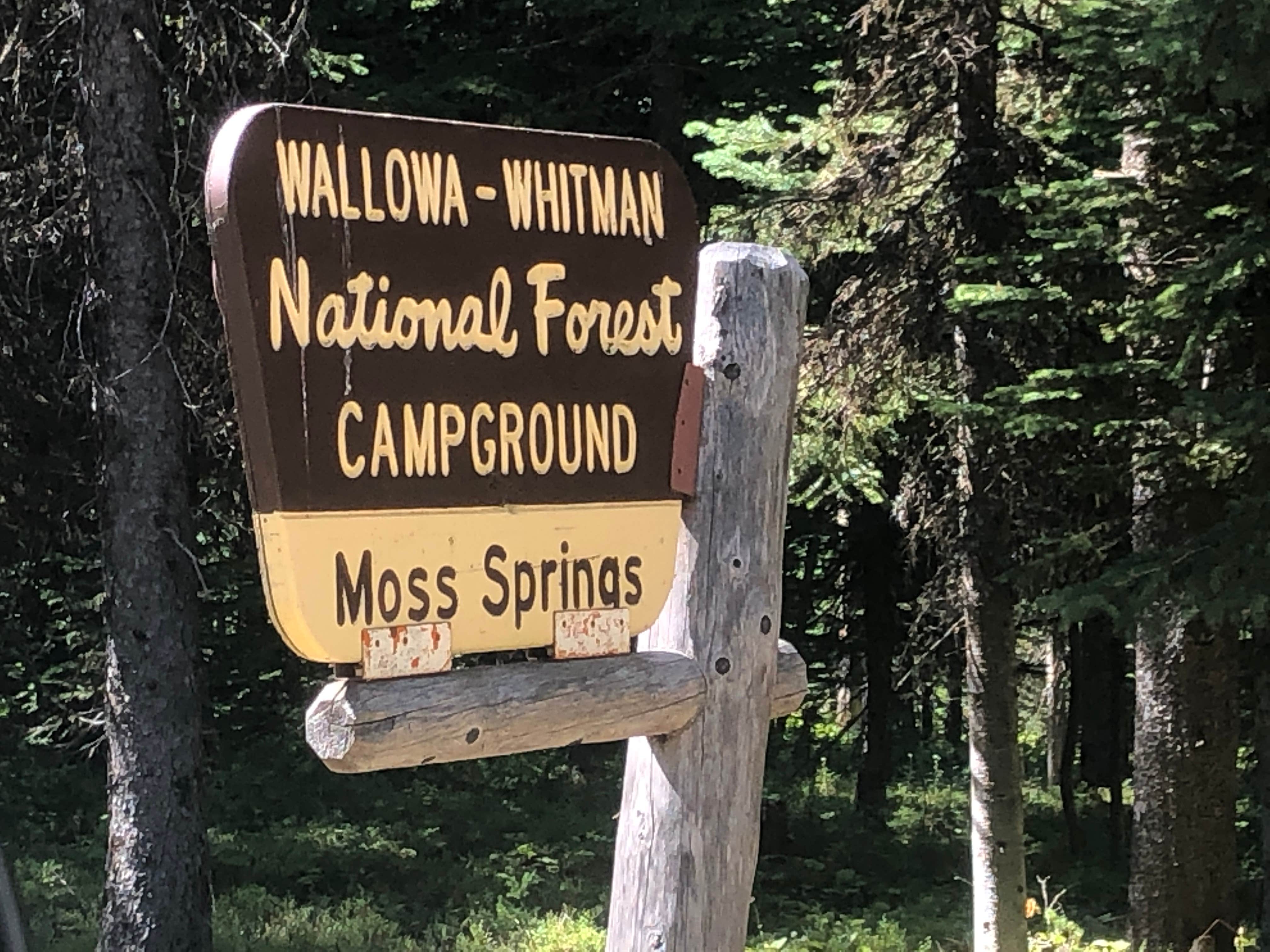 Escape To Enchantment: Your Guide To Oregon’s Moss Springs Campground