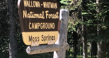 Moss Springs Campground