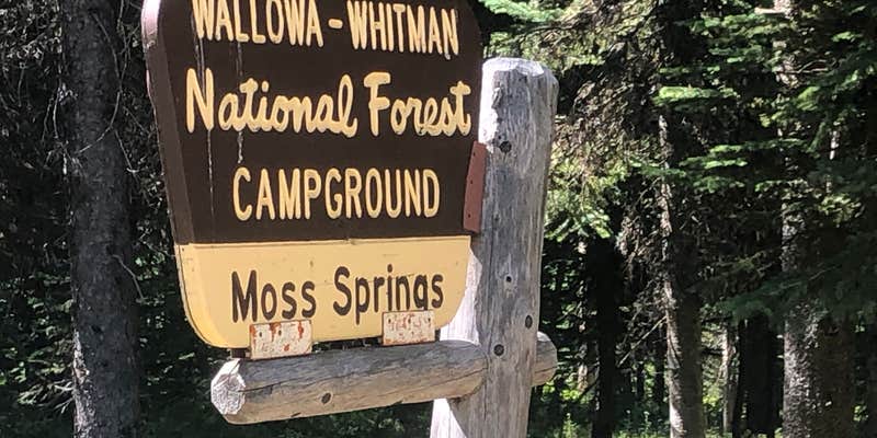 Camper submitted image from Moss Springs Campground