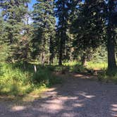 Review photo of Moss Springs Campground by Stephanie Z., September 1, 2019