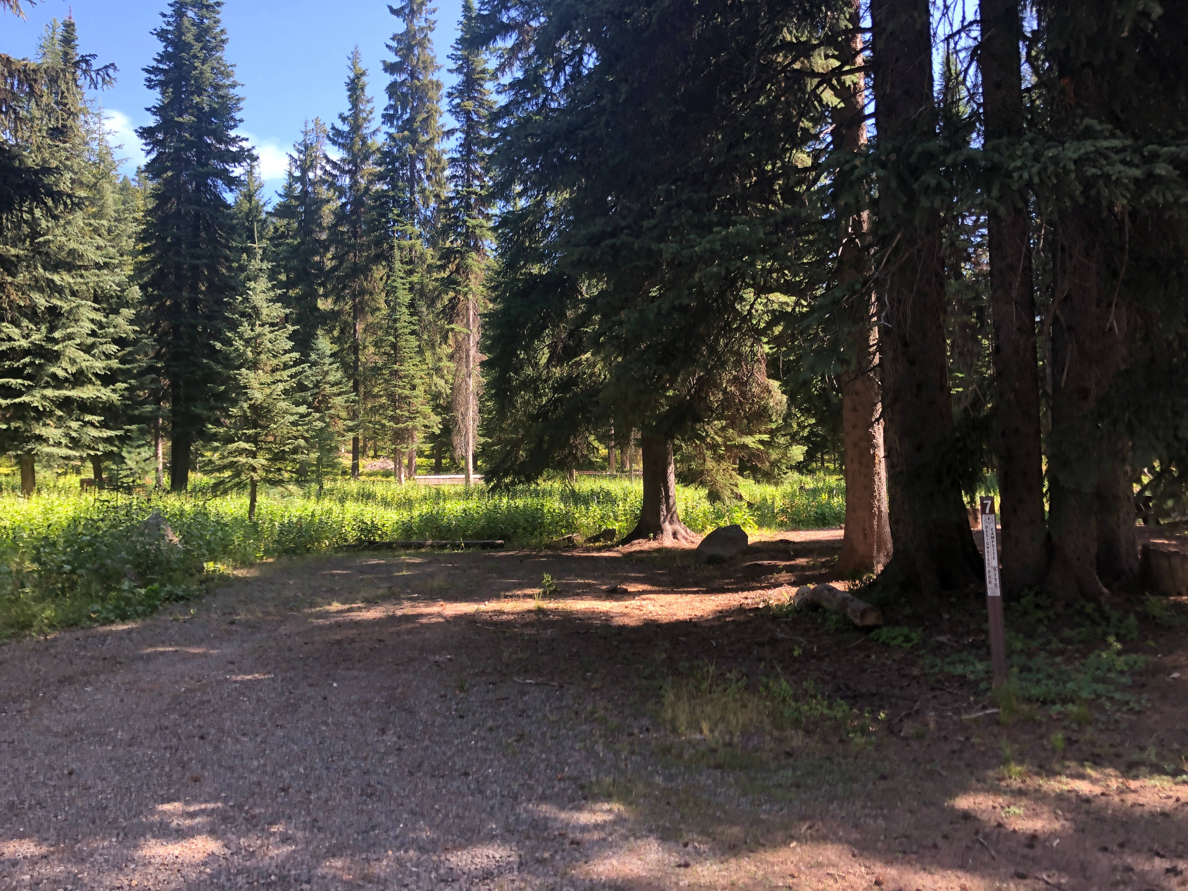 A pretty empty campground