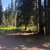 Review photo of Moss Springs Campground by Stephanie Z., September 1, 2019