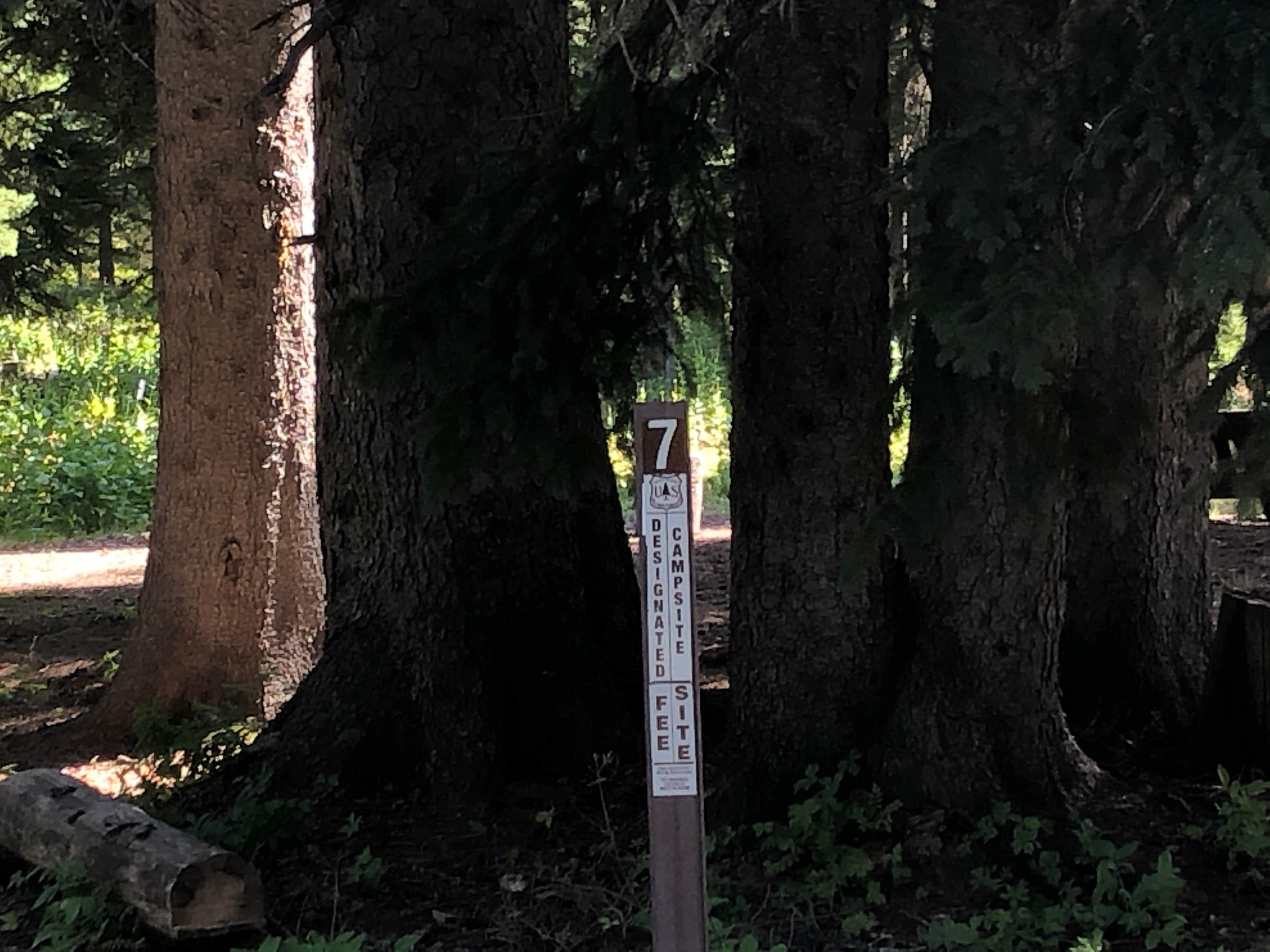 Camper-submitted photo at Moss Springs Campground near Cove, OR