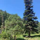 Review photo of La Sombra Campground by Steve & Ashley  G., September 1, 2019