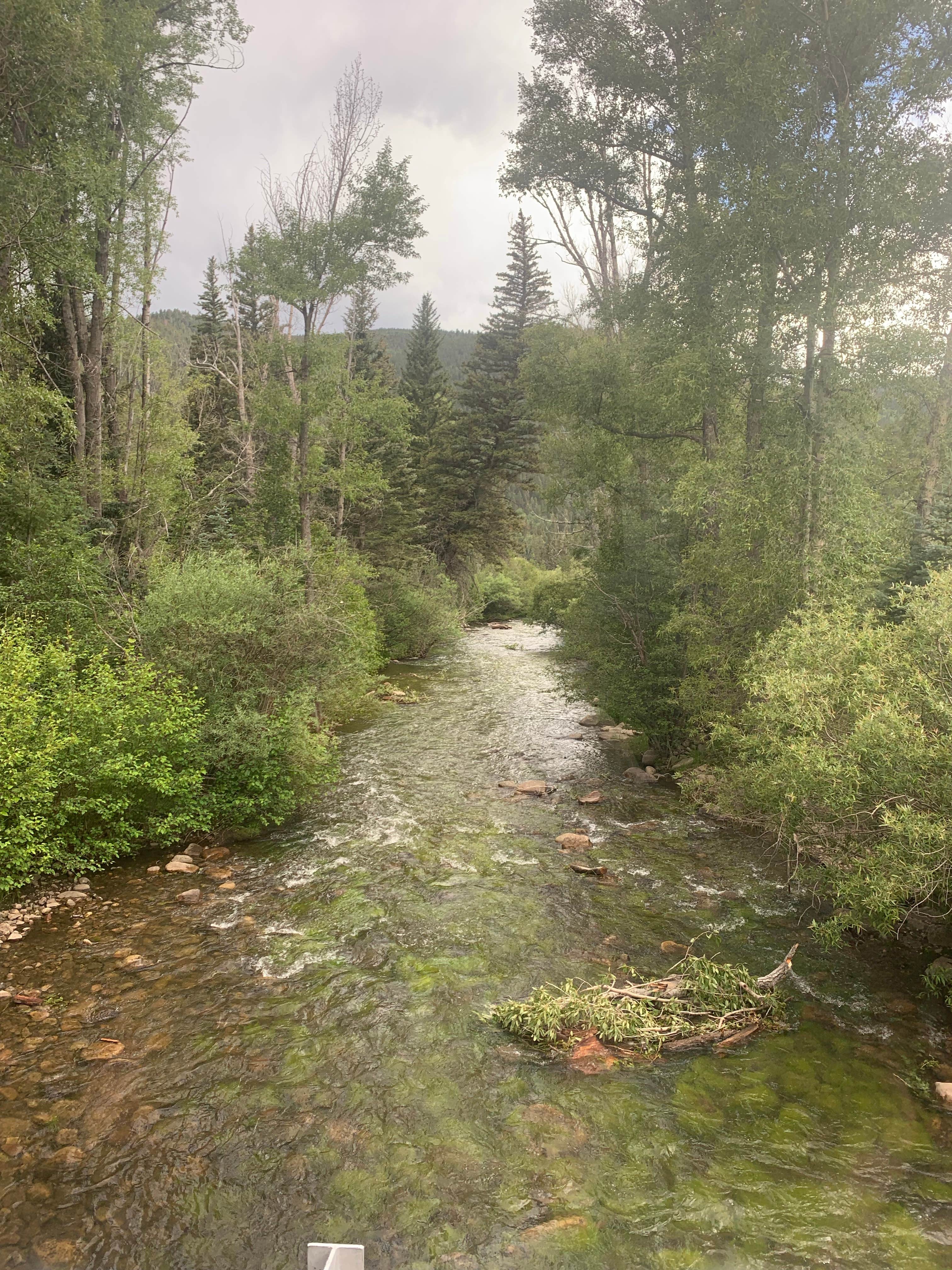 Camper submitted image from La Sombra Campground - 4