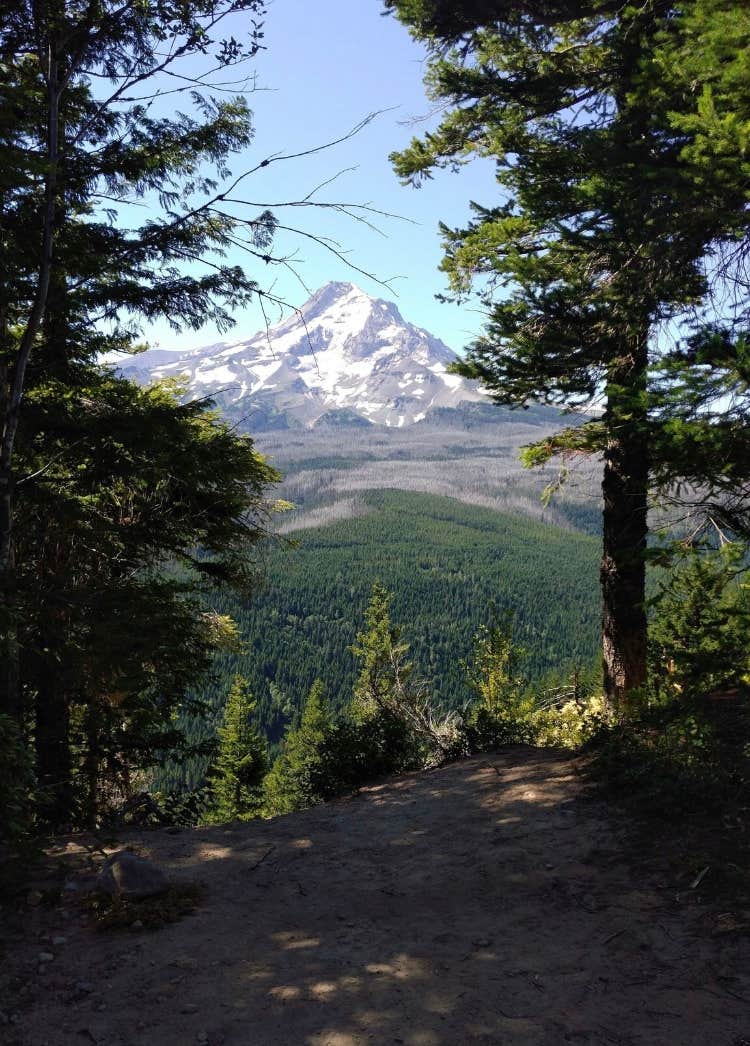 View All