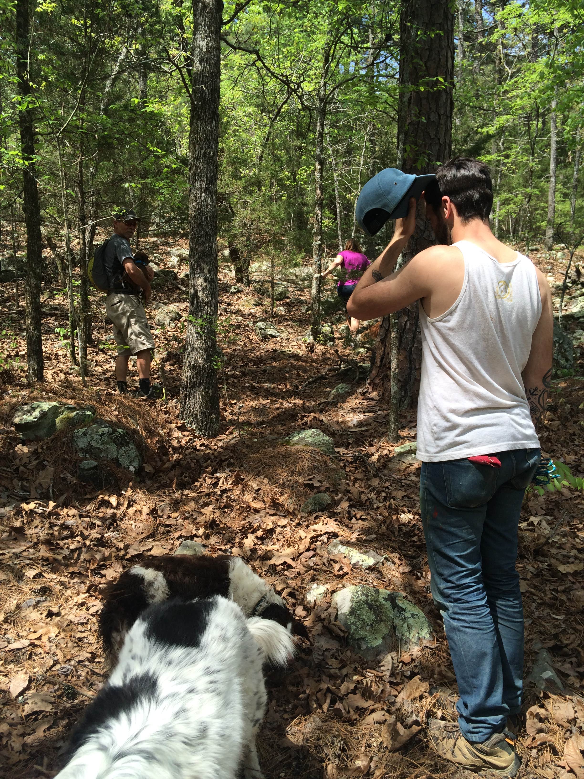 Camper submitted image from Robbers Cave State Park — Robbers Cave State Resort Park - 3