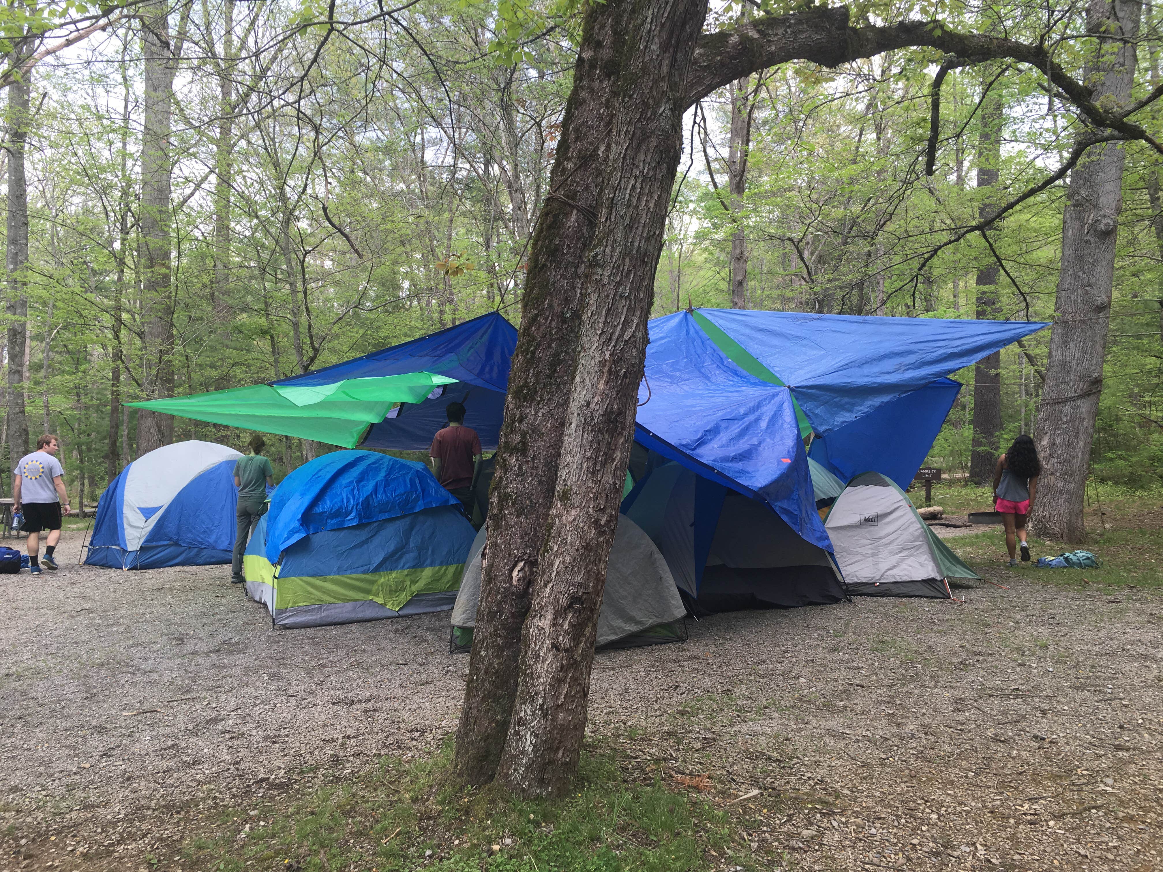 Camper submitted image from Cades Cove Group Campground — Great Smoky Mountains National Park - 2