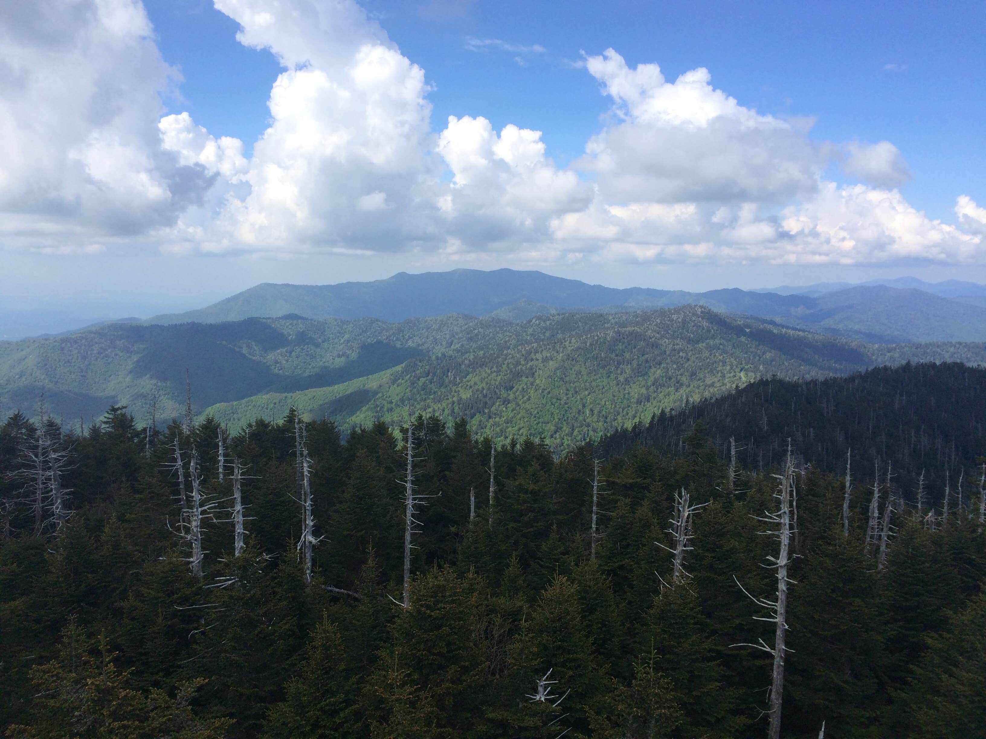 Elkmont Campground — Great Smoky Mountains National Park