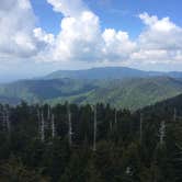 Review photo of Elkmont Campground — Great Smoky Mountains National Park by Madison G., June 22, 2017
