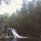 Review photo of Elkmont Campground — Great Smoky Mountains National Park by Madison G., June 22, 2017