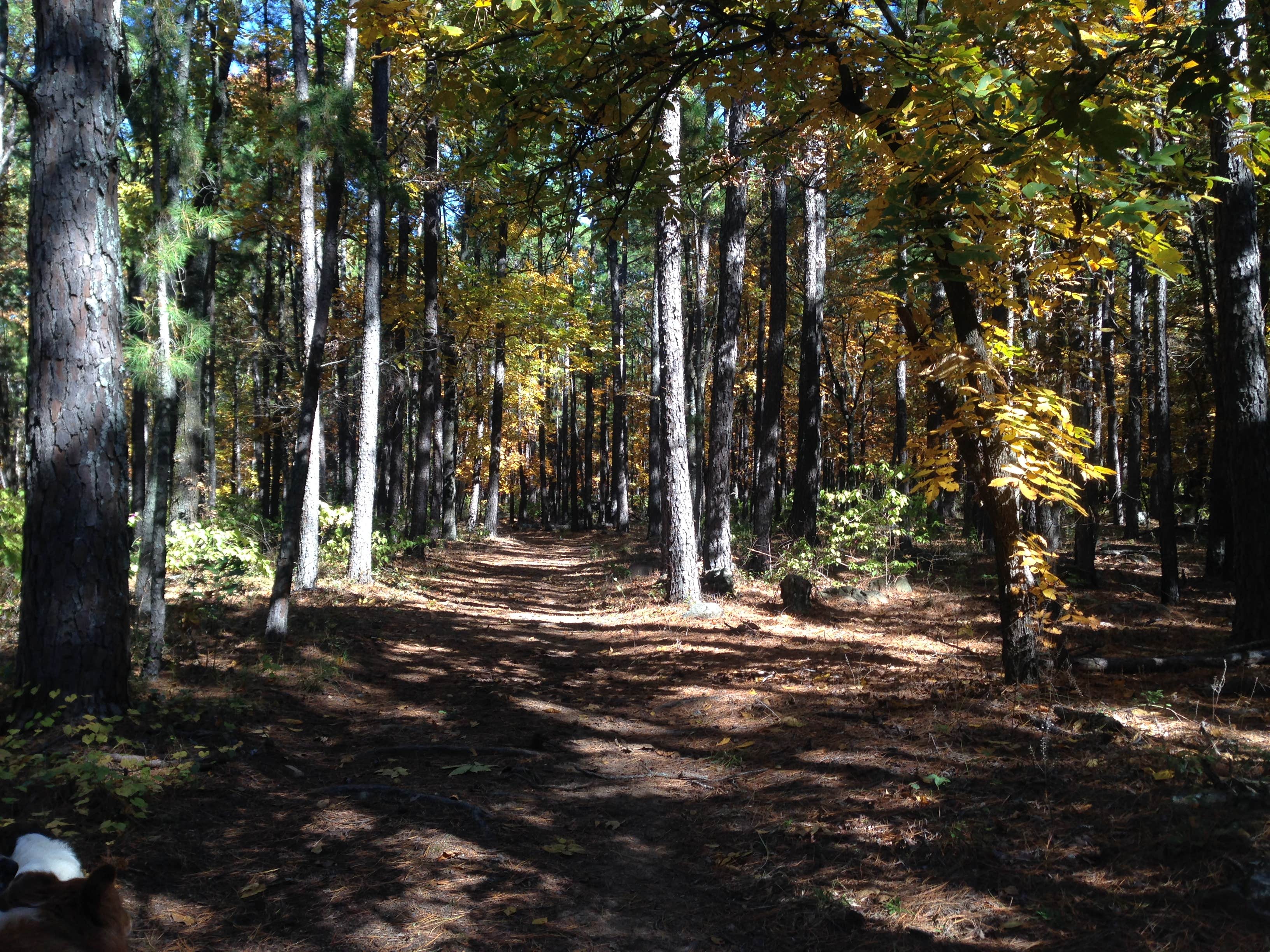Camper submitted image from McGee Creek State Park Campground - 2