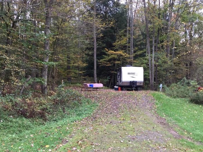 Camper submitted image from Willow Bay Recreation Area - 4