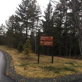 Review photo of Schoodic Woods Campground — Acadia National Park by Madison G., June 22, 2017