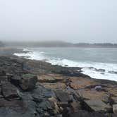 Review photo of Schoodic Woods Campground — Acadia National Park by Madison G., June 22, 2017