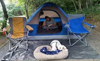 Steven B.'s photo at Mount Pisgah Campground near Candler, NC