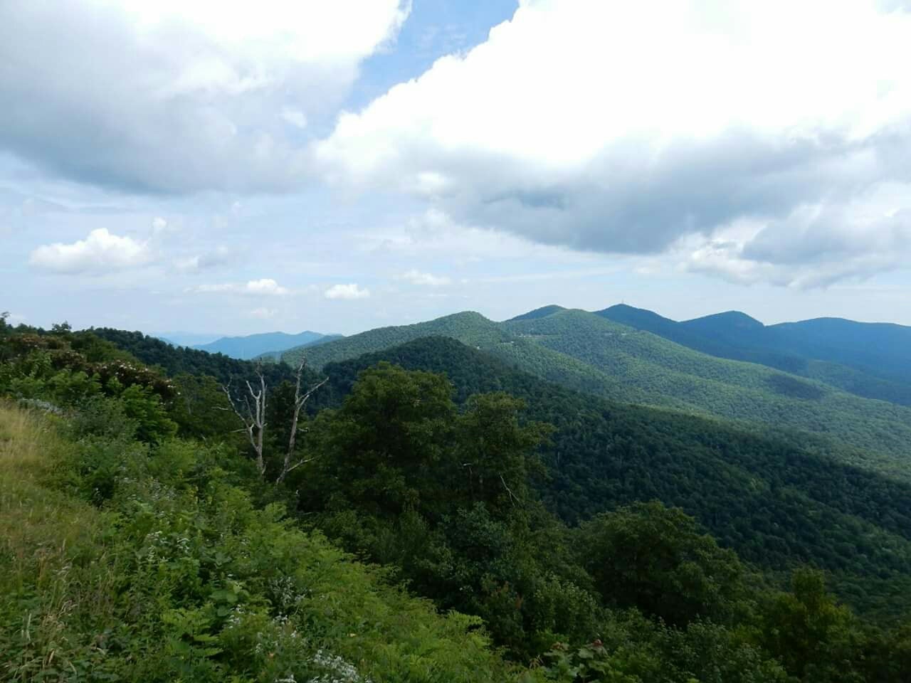 View from Blue Ridge Parkway nearby Mt. Pisgah Campground