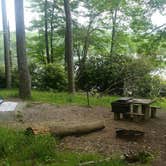 Review photo of Julian Price Park Campground — Blue Ridge Parkway by Steven B., June 22, 2017