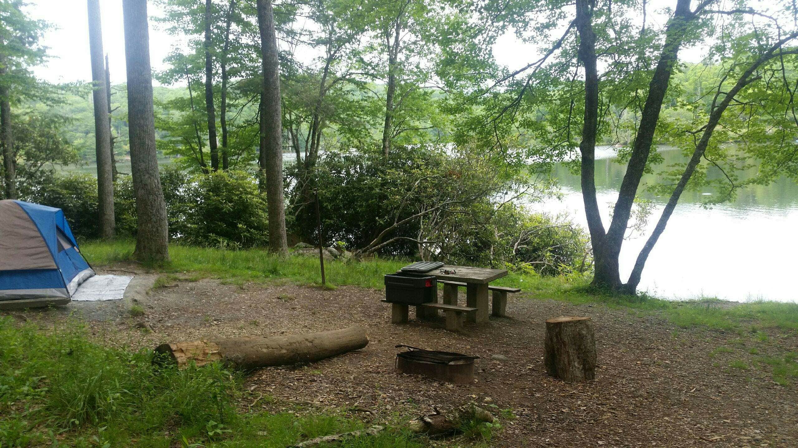 Camper submitted image from Julian Price Park Campground — Blue Ridge Parkway - 4