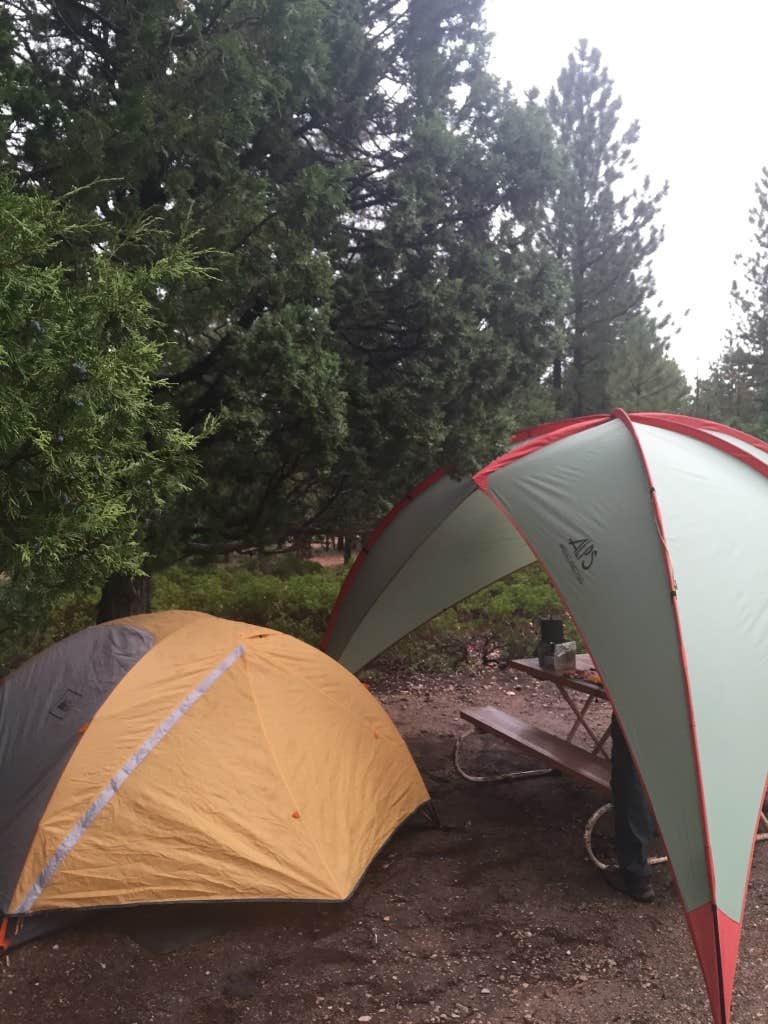 Camper submitted image from Sunset Campground — Bryce Canyon National Park - 3