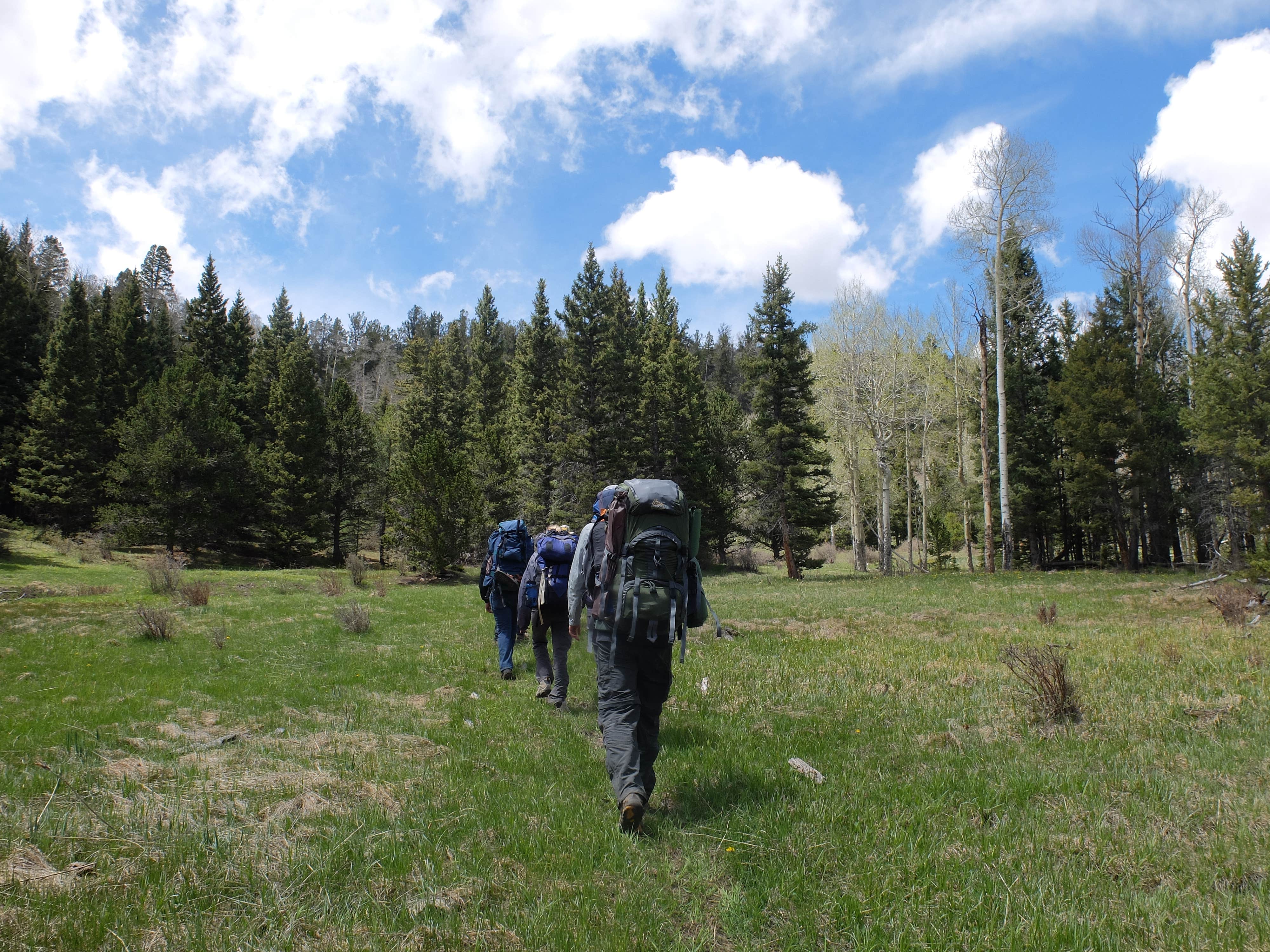 Camper-submitted photo at Cimarron Campground near Cimarron, NM