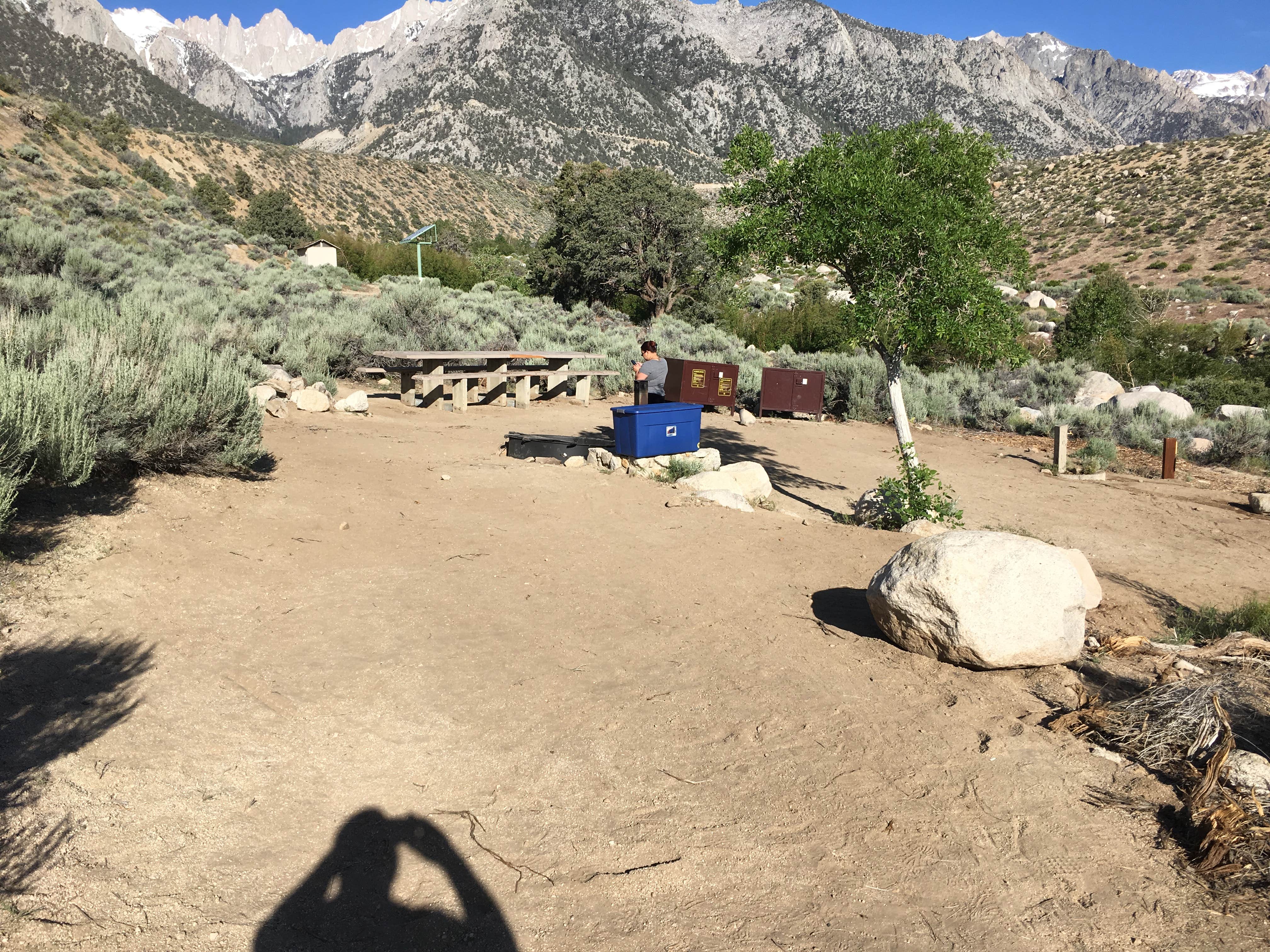 Lone store pine campground