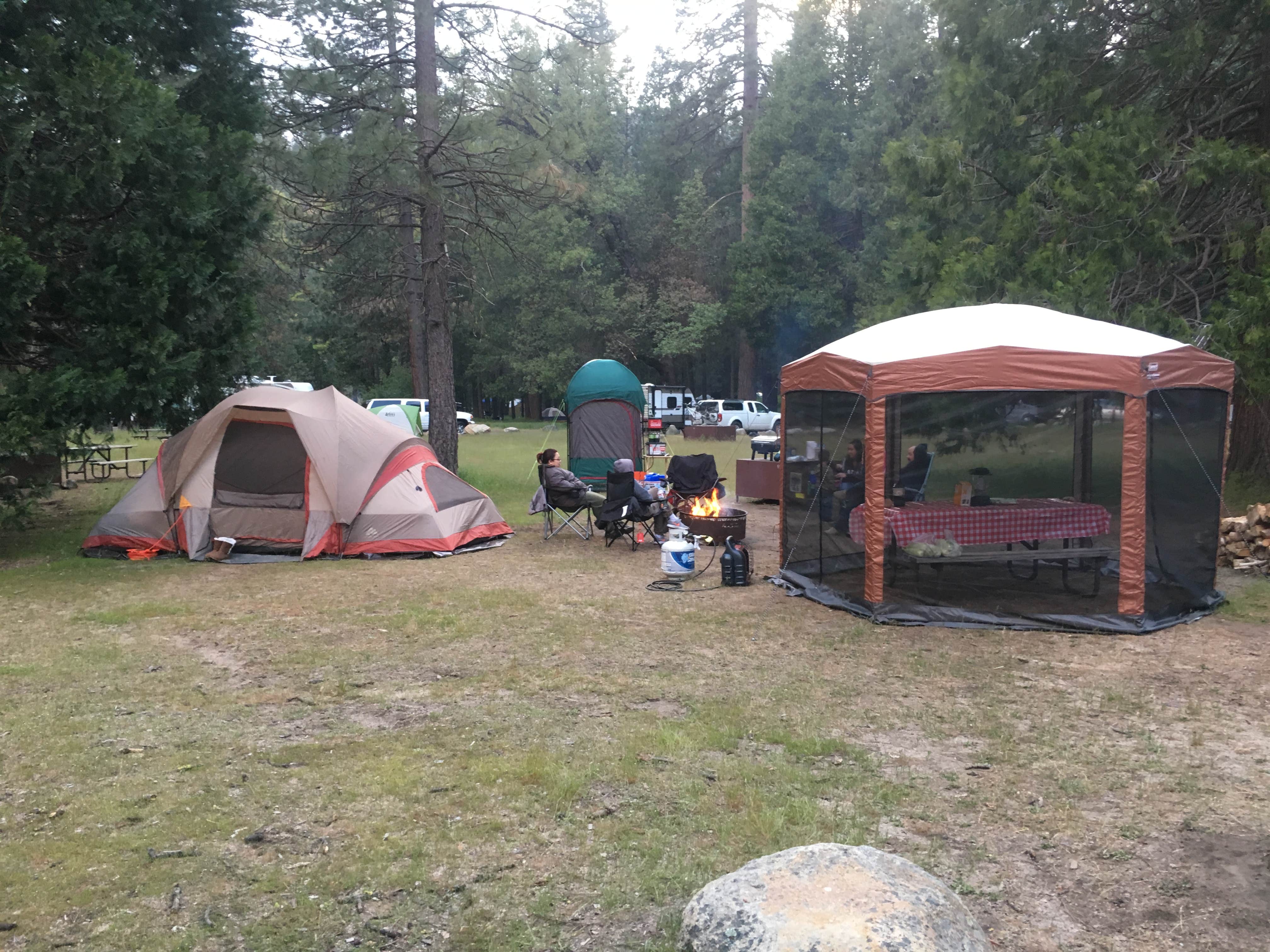 Camper submitted image from Wawona Campground — Yosemite National Park - 4