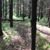 Review photo of Birch Lake by Elisha C., June 23, 2017