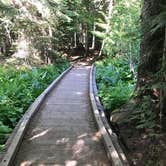 Review photo of Still Creek by Kim K., June 23, 2017