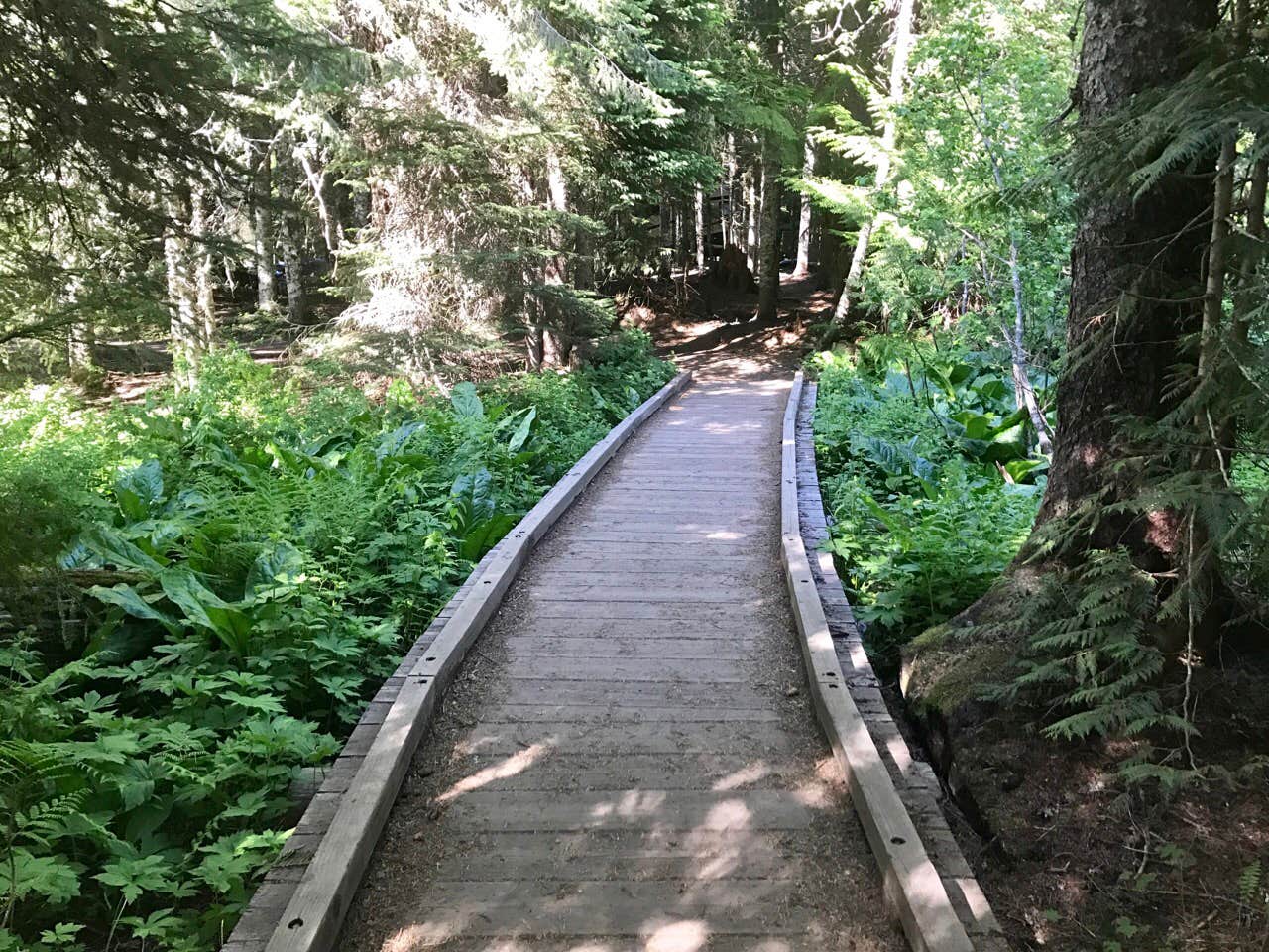 Camper submitted image from Still Creek - 3