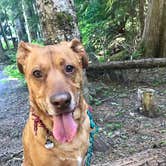 Review photo of Still Creek by Kim K., June 23, 2017