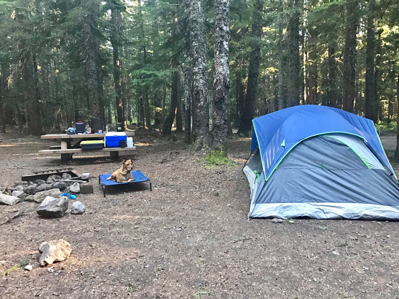Camper submitted image from Still Creek - 4