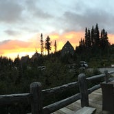 Review photo of Cougar Rock Campground — Mount Rainier National Park by Becky R., June 23, 2017