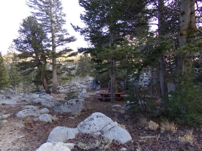 Camper submitted image from Inyo National Forest Rock Creek Lake Campground - 2