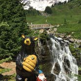 Review photo of Cougar Rock Campground — Mount Rainier National Park by Becky R., June 23, 2017