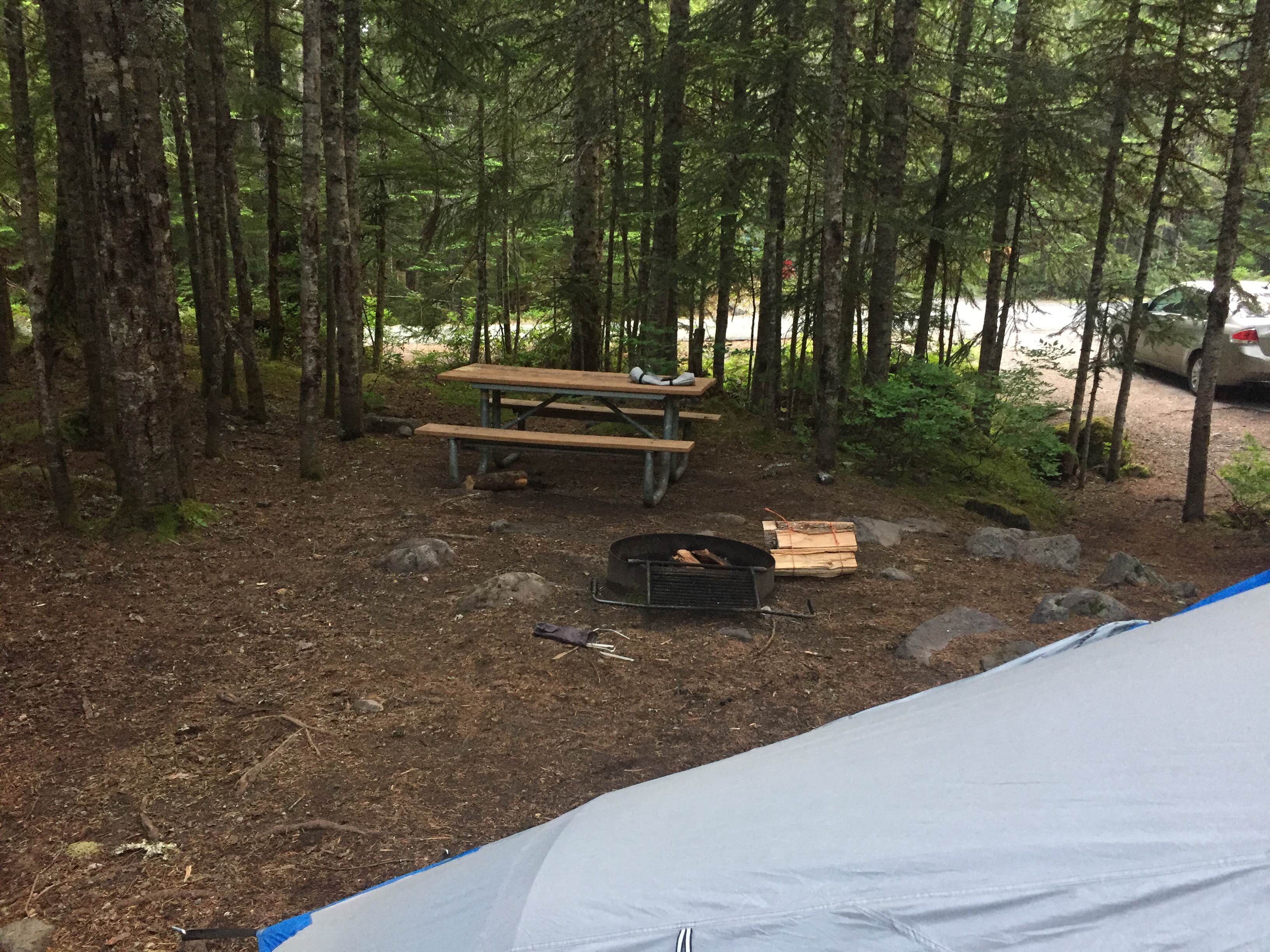 Jacob B.'s photo at Cougar Rock Campground — Mount Rainier National Park near Paradise, WA