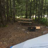 Review photo of Cougar Rock Campground — Mount Rainier National Park by Jacob B., June 23, 2017