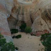 Review photo of Rabbit Valley — Mc Innis Canyons National Conservation Area by Dave W., June 24, 2017