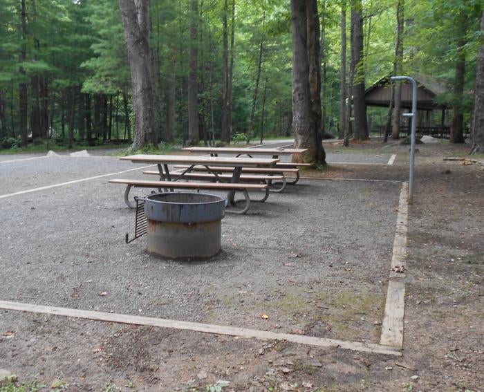 Camper submitted image from Cades Cove Campground — Great Smoky Mountains National Park - 4