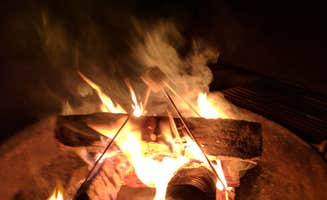 Christopher J.'s photo at Scenic Beach State Park Campground near Bainbridge Island, WA
