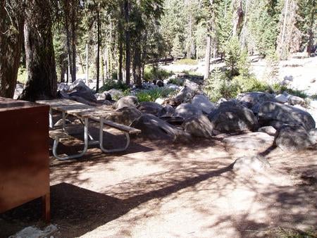 Camper submitted image from Lodgepole Campground — Sequoia National Park - 4