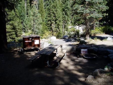 Camper submitted image from Lodgepole Campground — Sequoia National Park - 3