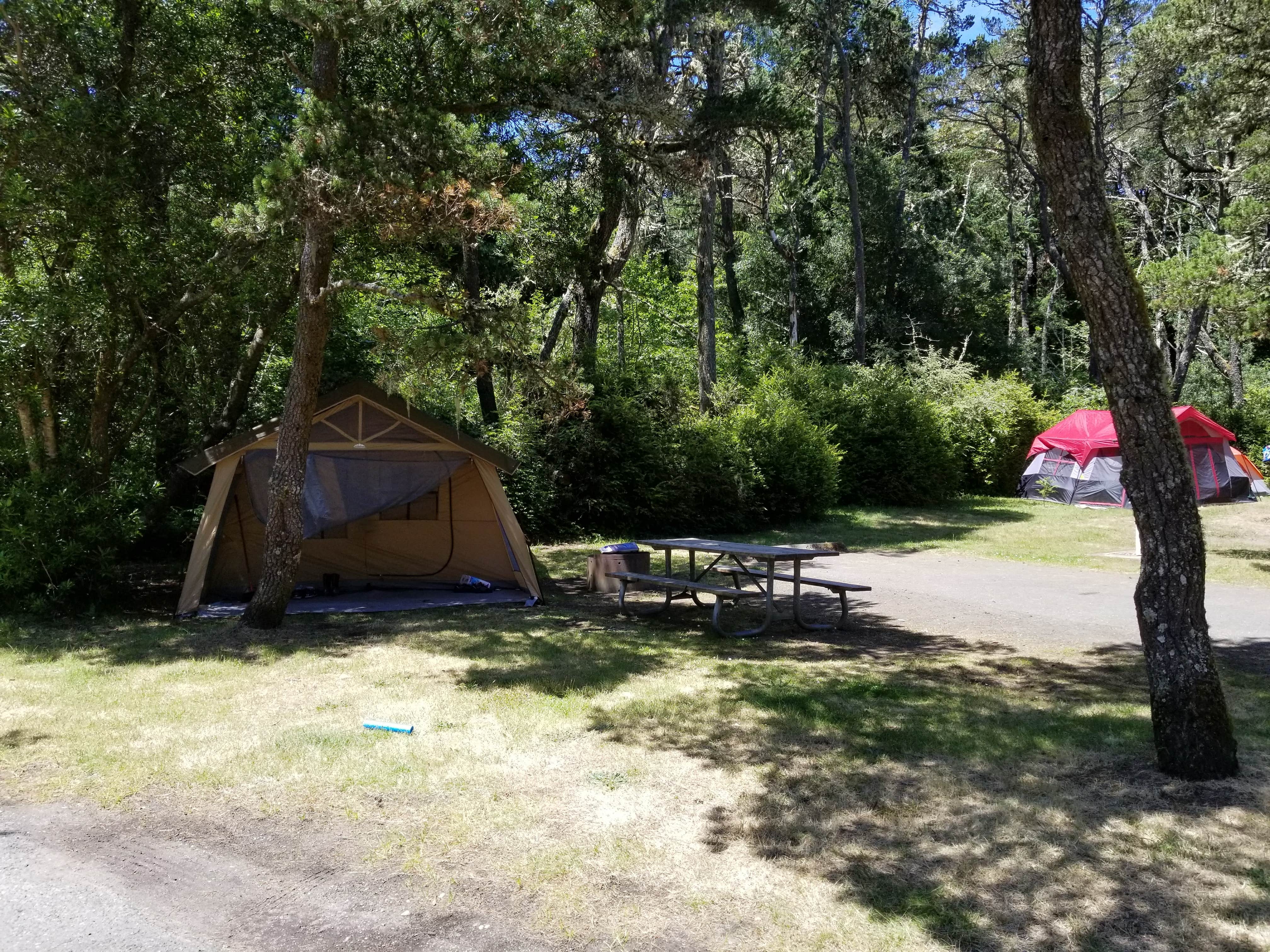 Tim W.'s photo at Bullards Beach State Park Campground near Bandon, OR