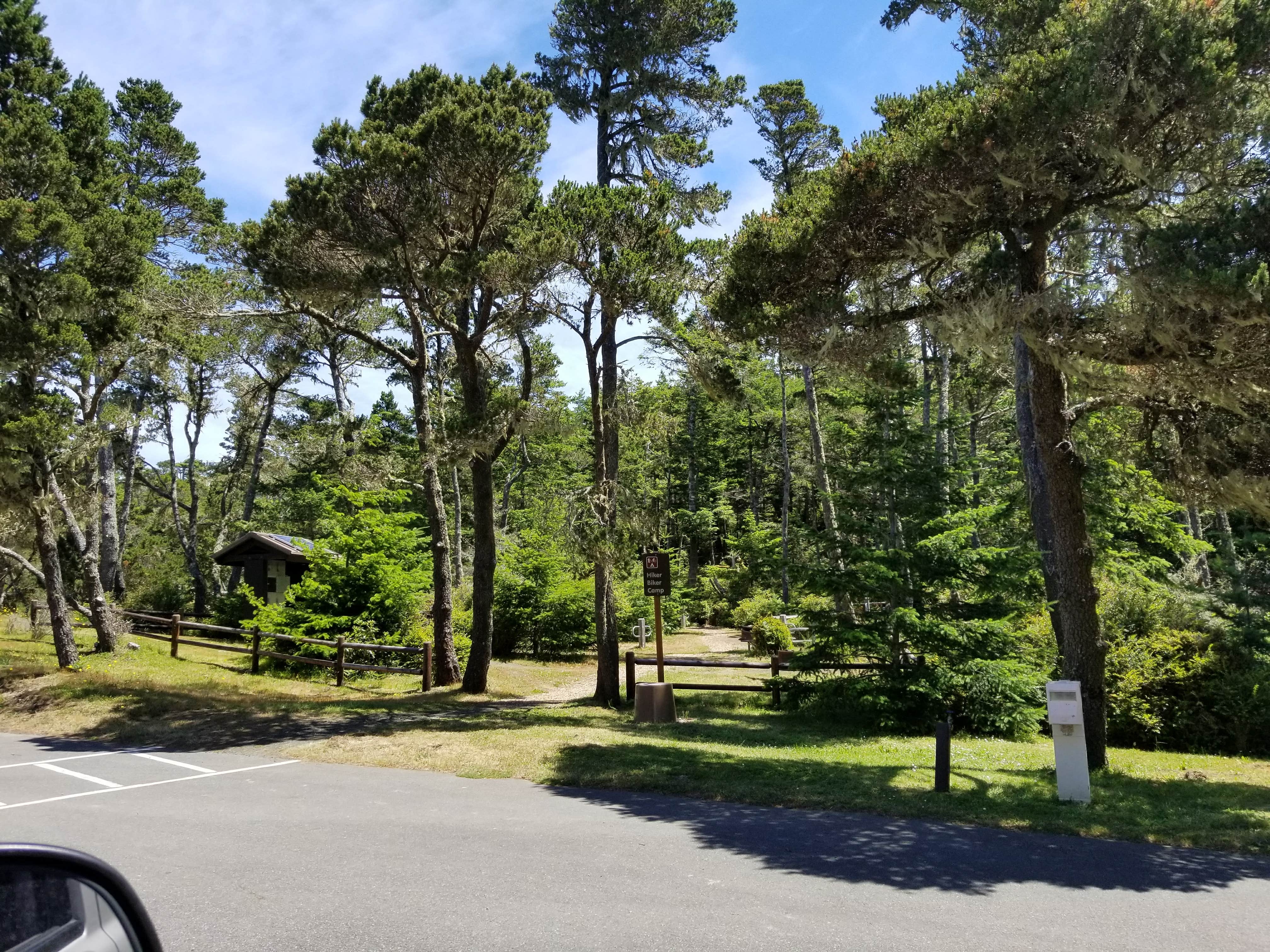 Camper submitted image from Bullards Beach State Park Campground - 4