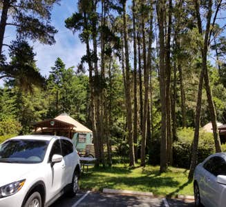 Camper-submitted photo from Bullards Beach State Park Campground