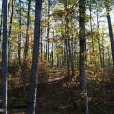 Review photo of Washita Primitive Camping Area by Tony F., June 24, 2017