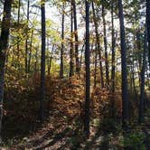 Review photo of Washita Primitive Camping Area by Tony F., June 24, 2017