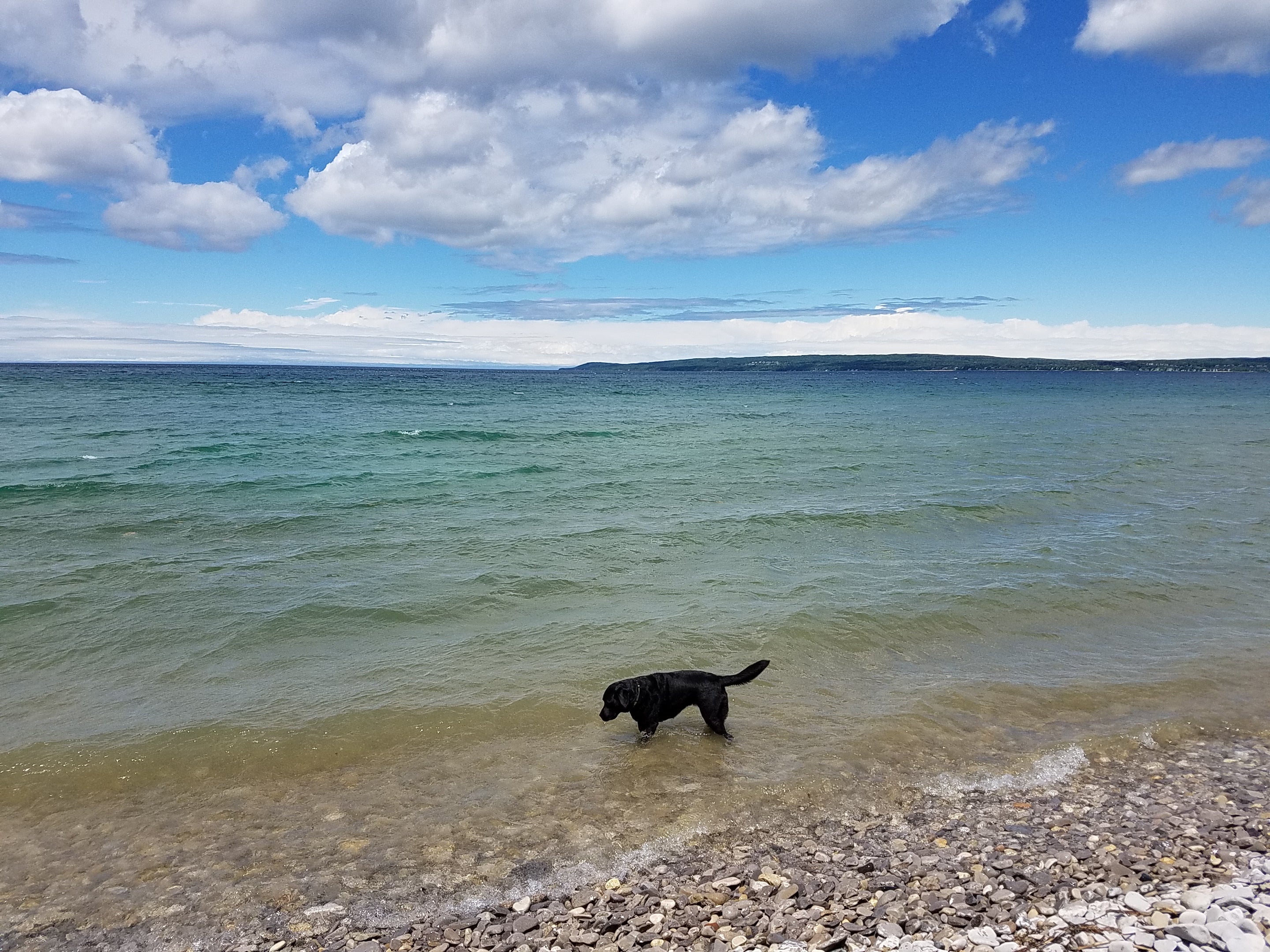 Great access to Lake Michigan where the beach is rocky but perfect for a eager lab to swim in.