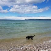 Review photo of Magnus Park Campground by Nancy W., June 24, 2017
