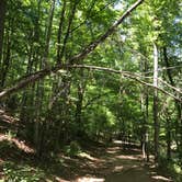 Review photo of Sweetwater Creek State Park Campground by Rachel  H., June 25, 2017